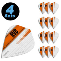 4 Flight Sets Kite White Vision Raymond  gallery