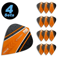 4 Flight Sets Kite Vision 90 Raymond van gallery