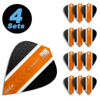 4 Flight Sets Kite Vision 80 Raymond van gallery