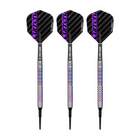 19 g Dartset Carrera Sport Charger ** gallery