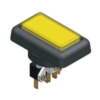 Leuchttaster rechteckig 41x22 mm mit Minature Mikroschalter