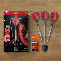 Steel darts (3 pcs) Nathan Aspinall G1 S gallery