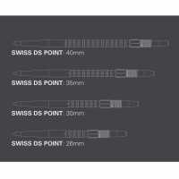 Wechselspitze Swiss Point DS gallery