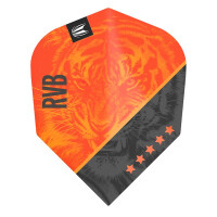 4 Flight (12 Stück) Raymond Van Barneveld Gen 4
