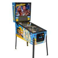 Bay Watch SEGA Flipper gebraucht gallery
