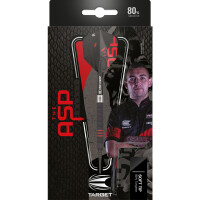 Soft Dartset (3 Stk) ASPINALL 90% x ECHO 18G SOFT TIP DARTS