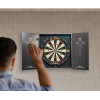 Dart Cabinet & Board Target  gallery 3_2nd