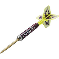 Steel Dartset Luke Littler 23g S gallery 11_2nd
