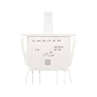 Serviceschalter 2 polig 4.8 x 0.5 mm E78-30A Au
