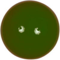 Snooker-Ball Favorite Grün 52,4 mm gallery