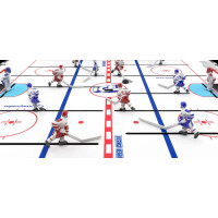 Super Chexx Pro Ice Hockey schwa gallery 10_2nd