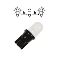 Flipper LED T10  "Rainbow" - G gallery