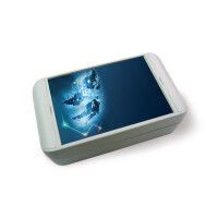 WorldKey Lese und Steuerbox gallery