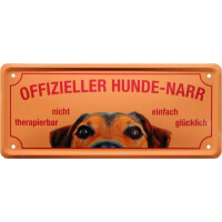 Metallschild  28x12 cm Offizieller Katze gallery