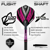 Steel Dartset Rebecca Allen Team 360 24g