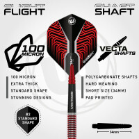 Steel Dartset Jack Johnson Team 360 24g