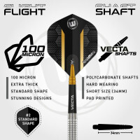 24g Steel Darts Jack Nankervis Team 360