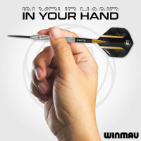 24g Steel Darts Jack Nankervis Team 360