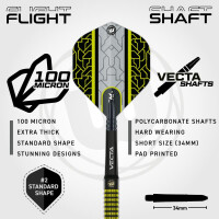 24g Steel Darts Cori Wiltshire Team 360