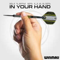 24g Steel Darts Cori Wiltshire Team 360