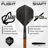 Steel Dartset Ben Townley Team 360 23g