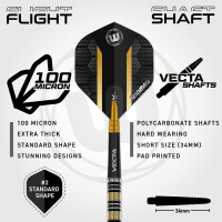 Steel Dartset Nicholai Bado Team 360 23g