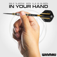 Steel Dartset Nicholai Bado Team 360 23g