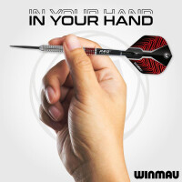 Steel Dartset Lewis Cook Team 360 23g