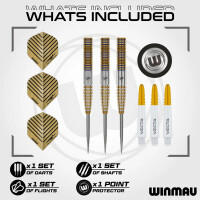23g Steel Dartset Daryl Gurney Signatur  gallery