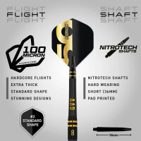 Steel Dartset Gian van Veen 50 Years  SE 21g