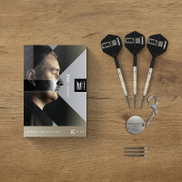 Steel Darts Dimitri van den Bergh 95K SP 2025