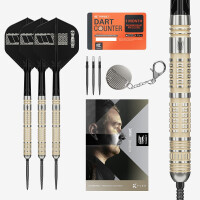 Steel Darts Dimitri van den Bergh 95K SP 2025