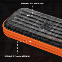 Dart case Takoma Raymond van Barneveld 2025