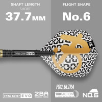 Soft Dartset Bolide Envy 10 90%  gallery 15_2nd