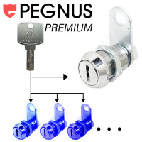 Automaten Service Schloss Pegnus Premuim KA CP2354
