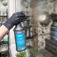 Effiziente Glasreinigung Intensiv-Hochglanzreiniger 1 Liter