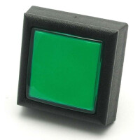 Leuchttaster quadratisch 52,5x52,5 mm gr gallery