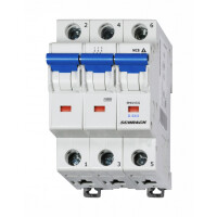 Miniature Circuit BreakerTripping Characteristic D 32 A 3-Pole 10 kA