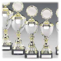 Pokal 9-er Serie "Big Open& gallery 3_2nd