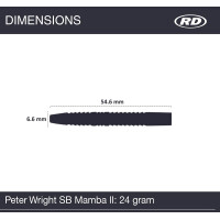 Steel Darts (3 pcs) Peter Wright Mamba 2