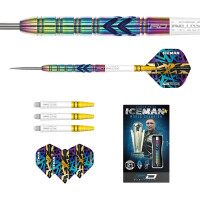 Steel Dartset Gerwyn "Icema gallery 15_2nd