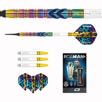 Soft Dartset Gerwyn "Iceman gallery 18_2nd