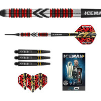 Soft Dartset Gerwyn "Iceman gallery 3_2nd