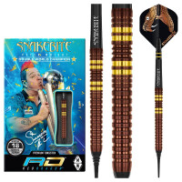 Soft Dartset Peter Wright - Copper Fusio gallery