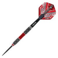 Steel Dartset Joe Cullen Rockstar Series gallery