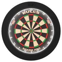 Dartboard Lumo Surround Light System gallery